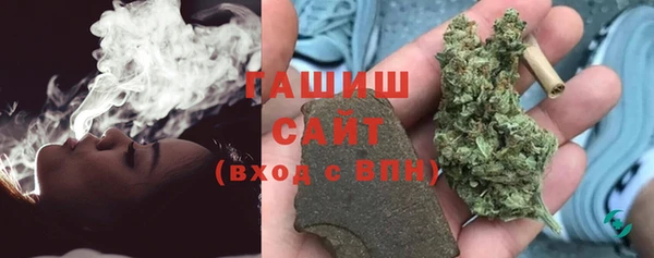 крисы Алзамай