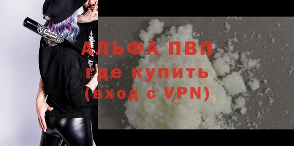 крисы Алзамай