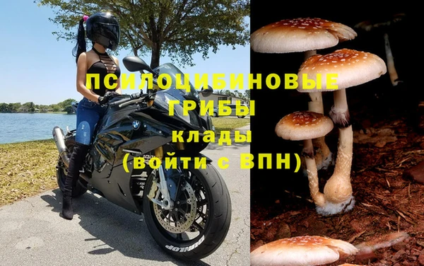 крисы Алзамай