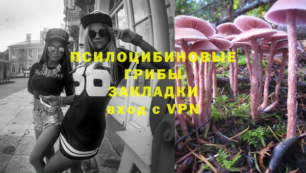 МДПВ Алексин
