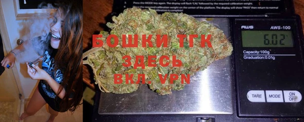 гидра Дмитров