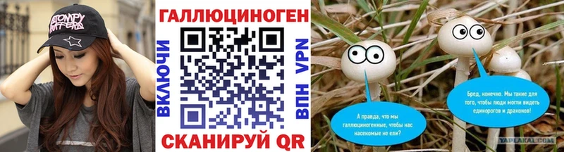 МЕГА ССЫЛКА  Бабаево  Псилоцибиновые грибы GOLDEN TEACHER  как найти наркотики 