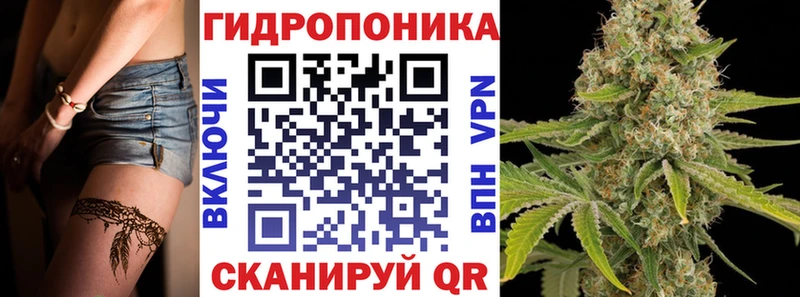 где продают наркотики  MEGA зеркало  Конопля сатива  Бабаево 